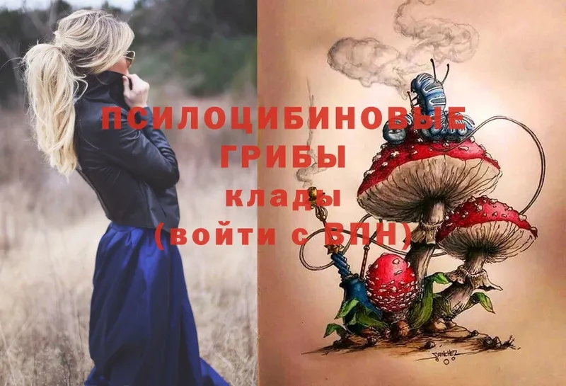 Галлюциногенные грибы MAGIC MUSHROOMS  закладки  площадка какой сайт  Калачинск 